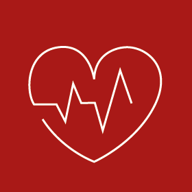 Aparato circulatorio