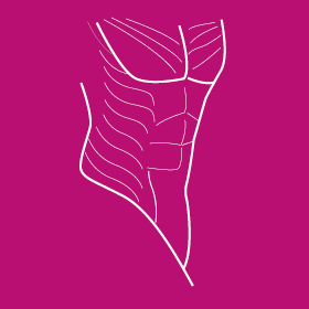 Sistema musculo-esqueletico